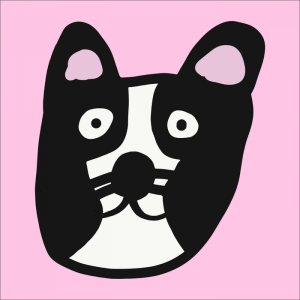 정민우 [프렌치 불독]
